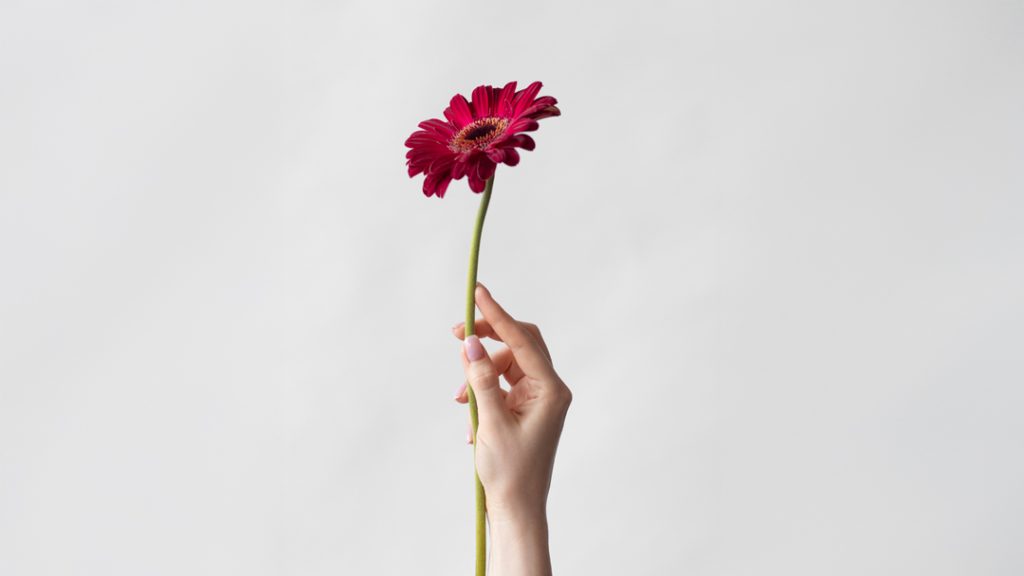 delicate flower photo2